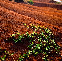血腥生存，小丑断魂：《幻戏惊魂夜》现已登陆PC！